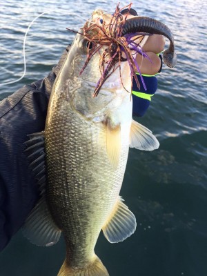 hideup 永野総一朗 ブログ写真 2015/12/22