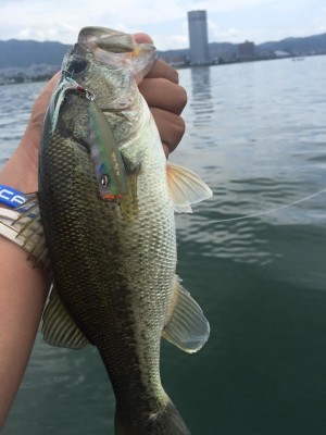 hideup 永野総一朗 ブログ写真 2016/06/14