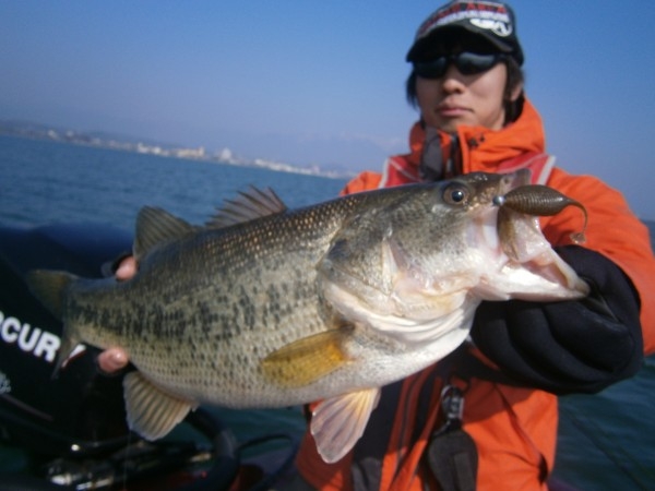 hideup 豌ｸ驥守ｷ丈ｸ譛� 繝悶Ο繧ｰ蜀咏悄 2013/03/08