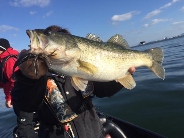 hideup 永野総一朗 ブログ写真 2016/11/16