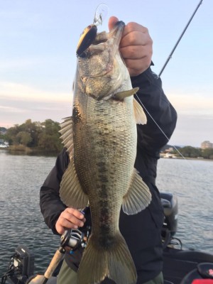 hideup 永野総一朗 ブログ写真 2016/11/16