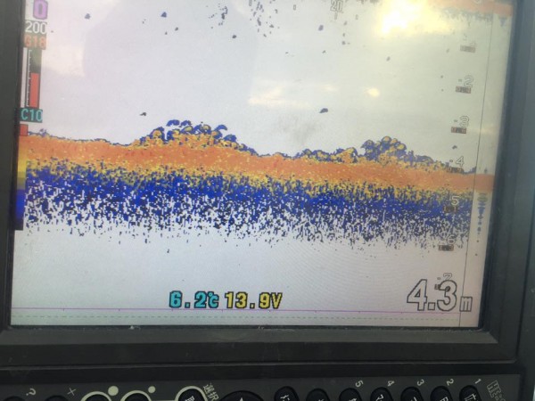 hideup 永野総一朗 ブログ写真 2017/01/21