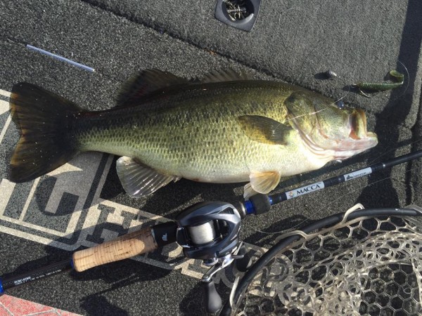 hideup 永野総一朗 ブログ写真 2015/12/16