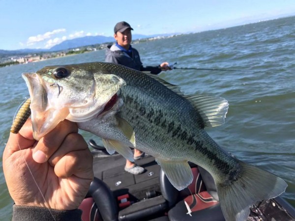 hideup 永野総一朗 ブログ写真 2017/06/05