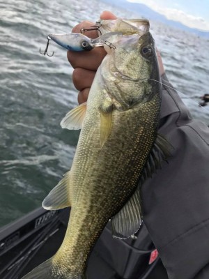 hideup 永野総一朗 ブログ写真 2017/12/02