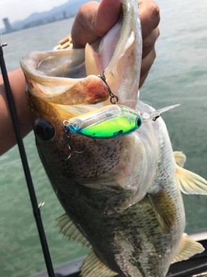 hideup 永野総一朗 ブログ写真 2017/06/01