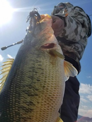 hideup 永野総一朗 ブログ写真 2017/02/25