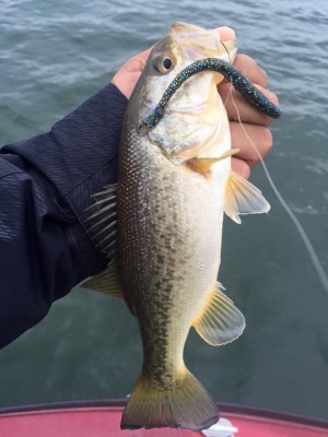 hideup 永野総一朗 ブログ写真 2015/12/10