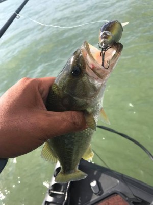 hideup 永野総一朗 ブログ写真 2017/09/19