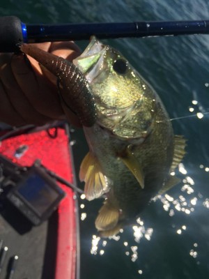 hideup 永野総一朗 ブログ写真 2015/09/20