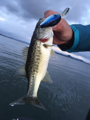 hideup 永野総一朗 ブログ写真 2016/12/11