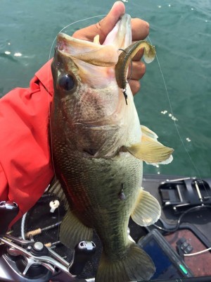 hideup 永野総一朗 ブログ写真 2016/05/25