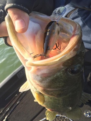 hideup 永野総一朗 ブログ写真 2016/11/07