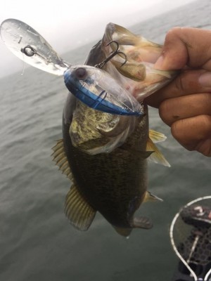 hideup 永野総一朗 ブログ写真 2016/09/22