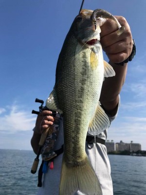 hideup 永野総一朗 ブログ写真 2017/10/09