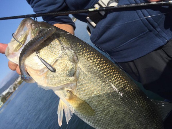 hideup 永野総一朗 ブログ写真 2016/11/23