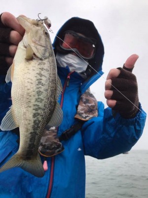 hideup 永野総一朗 ブログ写真 2017/01/23