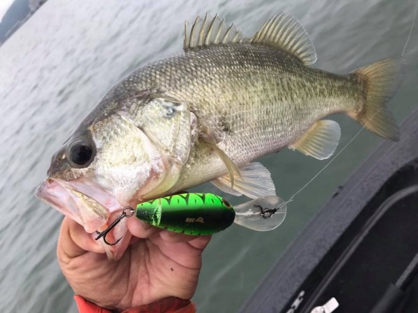 hideup 永野総一朗 ブログ写真 2017/10/17