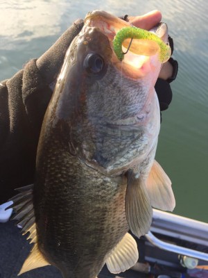 hideup 永野総一朗 ブログ写真 2017/03/05