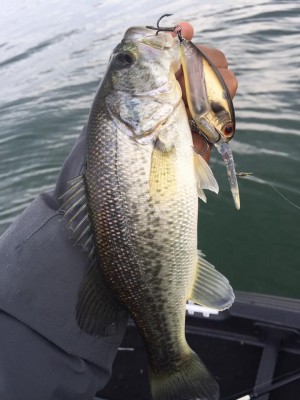 hideup 永野総一朗 ブログ写真 2016/11/21