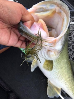 hideup 永野総一朗 ブログ写真 2017/08/14