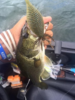 hideup 永野総一朗 ブログ写真 2016/07/15