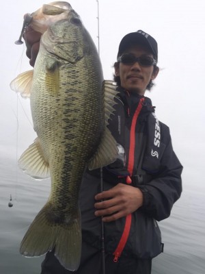 hideup 永野総一朗 ブログ写真 2017/04/08