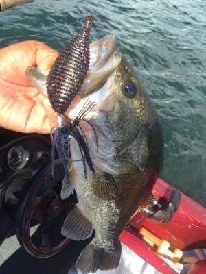 hideup 永野総一朗 ブログ写真 2015/07/14