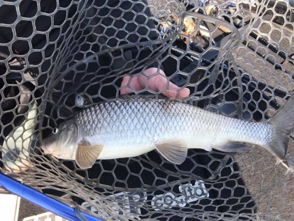 hideup 永野総一朗 ブログ写真 2017/12/10