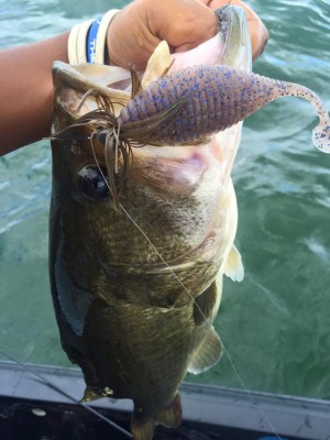 hideup 永野総一朗 ブログ写真 2016/08/21