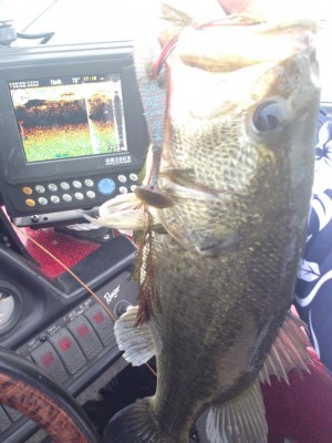 hideup 永野総一朗 ブログ写真 2015/05/28