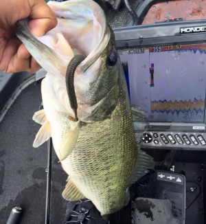 hideup 永野総一朗 ブログ写真 2016/06/05