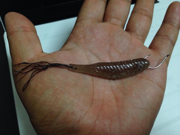 hideup 永野総一朗 ブログ写真 2014/09/14