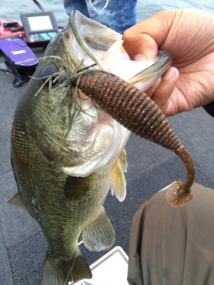 hideup 永野総一朗 ブログ写真 2015/06/20