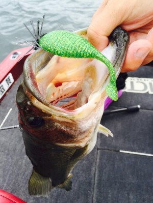 hideup 永野総一朗 ブログ写真 2015/07/18