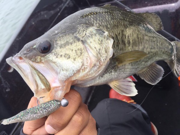 hideup 永野総一朗 ブログ写真 2017/04/20