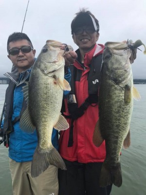 hideup 永野総一朗 ブログ写真 2017/06/22