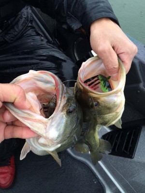 hideup 永野総一朗 ブログ写真 2014/03/20