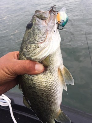 hideup 永野総一朗 ブログ写真 2016/09/25