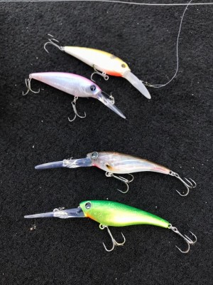 hideup 永野総一朗 ブログ写真 2017/11/16