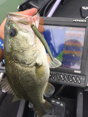 hideup 永野総一朗 ブログ写真 2016/09/27