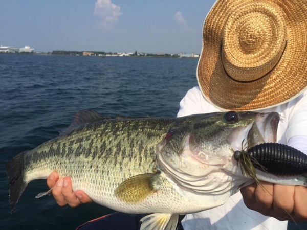 hideup 永野総一朗 ブログ写真 2015/08/04