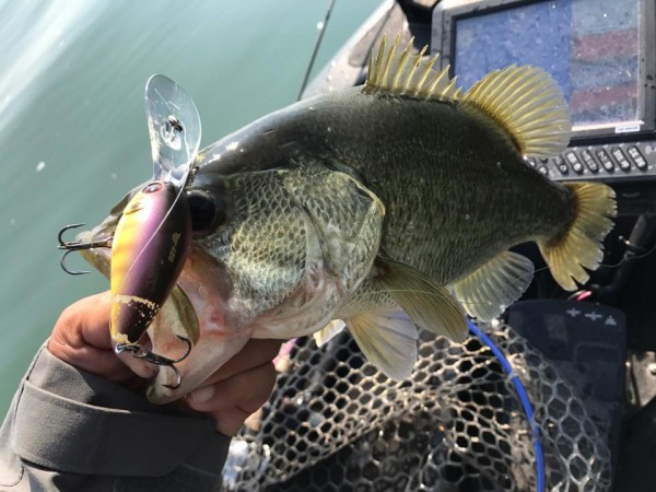 hideup 永野総一朗 ブログ写真 2017/11/07