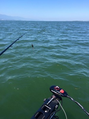 hideup 永野総一朗 ブログ写真 2016/05/18