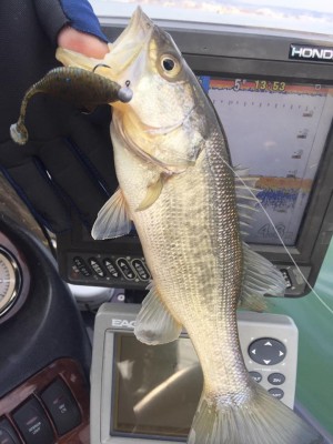 hideup 永野総一朗 ブログ写真 2017/01/20