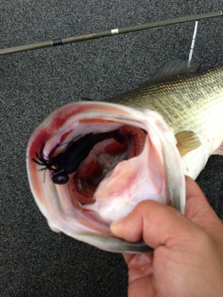 hideup 永野総一朗 ブログ写真 2013/04/04