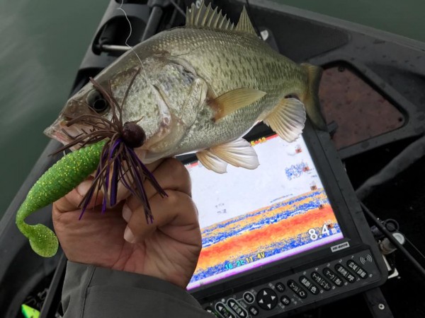 hideup 永野総一朗 ブログ写真 2017/11/08