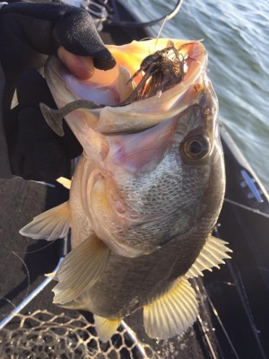 hideup 永野総一朗 ブログ写真 2016/12/03