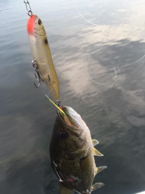 hideup 永野総一朗 ブログ写真 2015/07/03