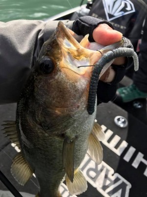 hideup 永野総一朗 ブログ写真 2017/11/21